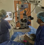Cataract Surgery Eltingville